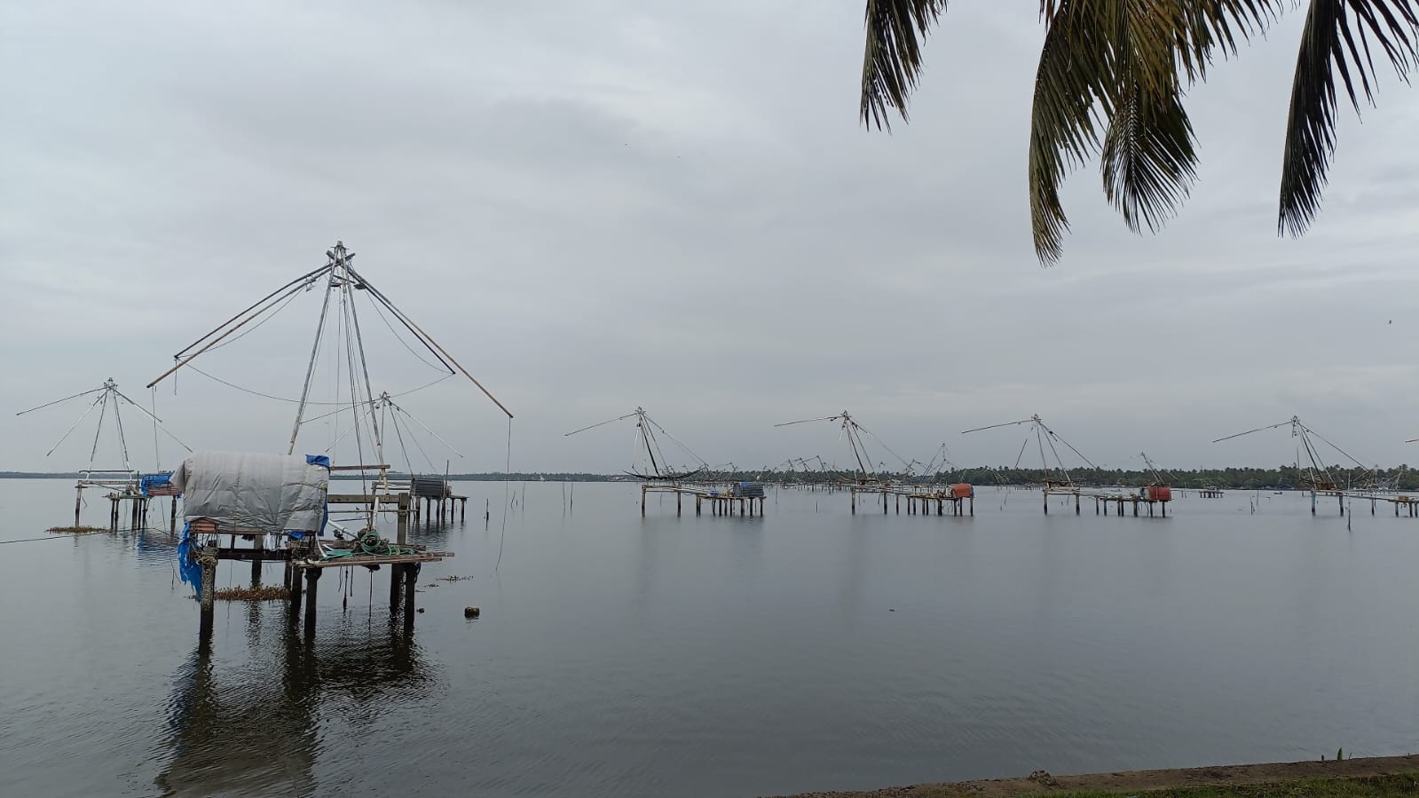 IMG-20241025-WA0031